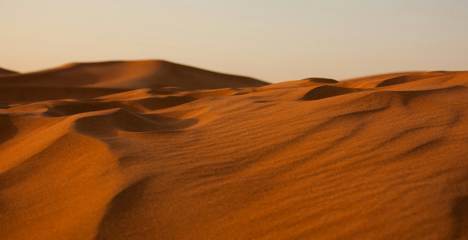 Camel caravan silhouette at sunset